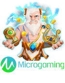 microgaming PUI68